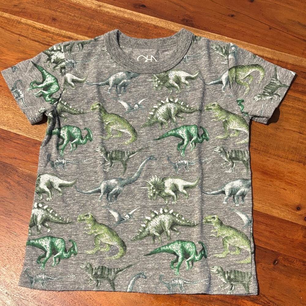 Boys Chaser Gray Dinosaur Print Kids T-Shirt